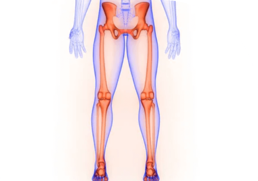 Lower Body Skeletal | Saddletown Radiology | NE Calgary | Radiology Clinic